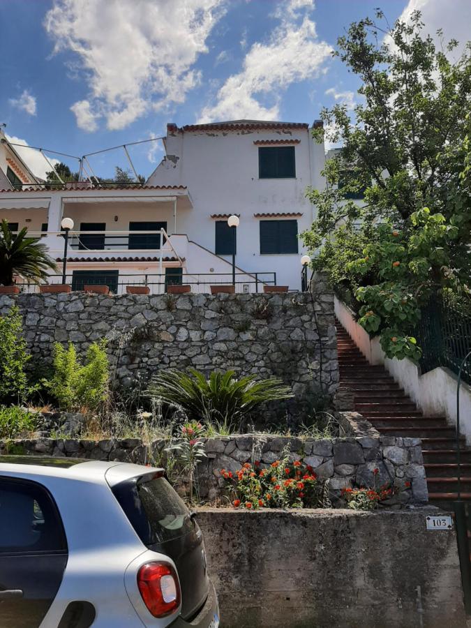 Arcomagno Guest House サン・ニコーラ・アルチェッラ エクステリア 写真